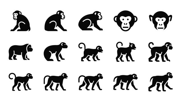 Chimpanzee and monkey face icons with full body primate silhouettes in black vector.