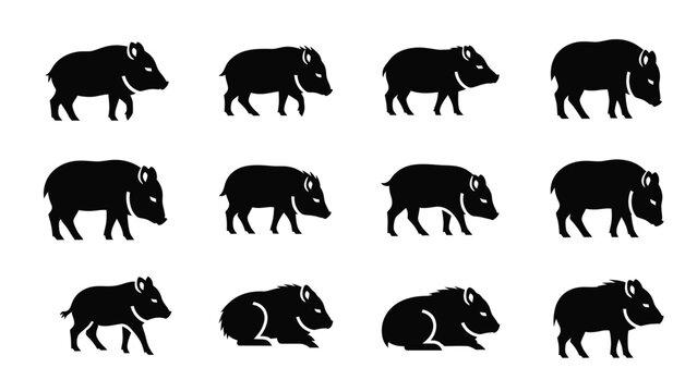 Set of wild boar silhouettes in different poses and actions.