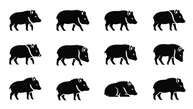 Collection of wild boar icons in black and white minimalist style.