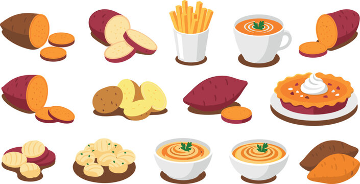 Detailed Vector Illustration Set of Sweet Potato and Yam Dishes Including Fries Soup Pie and Sliced Raw Batata