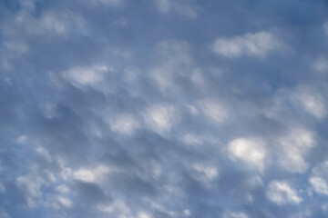 Fototapeta premium Soft blue sky filled with mottled altocumulus clouds creating a peaceful textured atmosphere at dawn