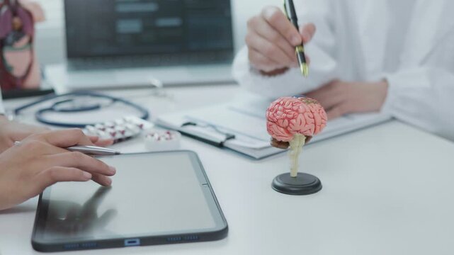Nervous System Examination Medical Office Educational Content Clinical Environment Close-Up View Understanding Brain Function