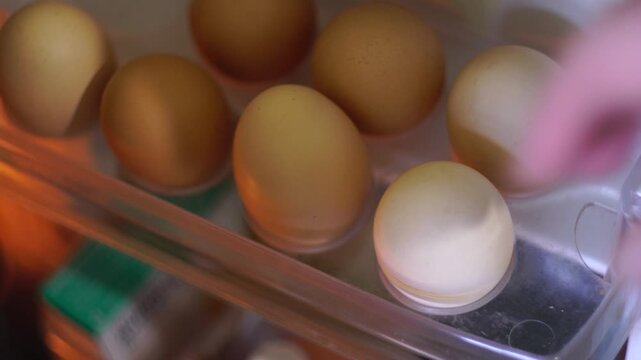 open topen the refrigerator and take the eggshe refrigerator and take the eggs