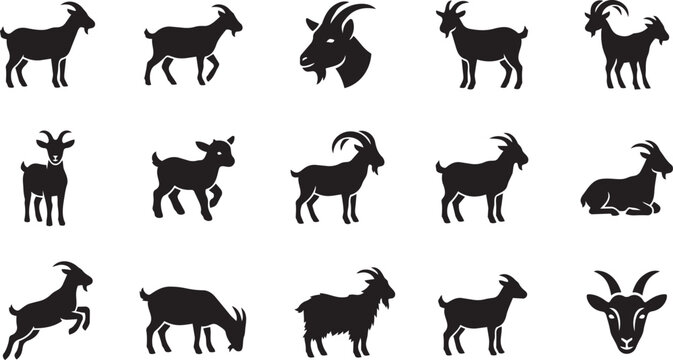Set of black goat silhouettes, domestic horned animals, capra aegagrus hircus, in various poses, vector illustration.