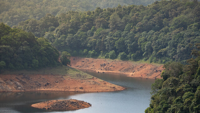 Green Mountain Forest View in Gavi Kerala India