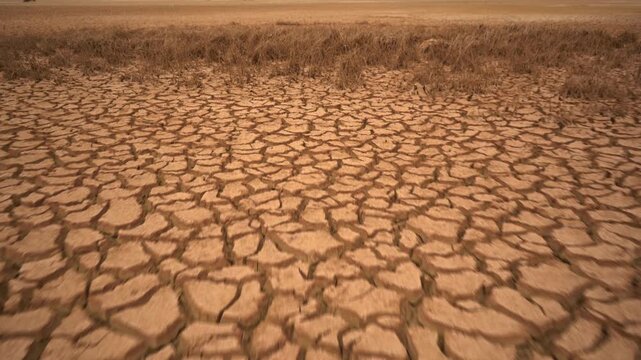 Cinematic tracking shot over deeply cracked, parched earth towards dead crops. High-impact B-roll highlighting severe drought, agricultural failure, and the climate crisis for documentaries.