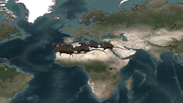 Rats Running Across World Map Europe Africa Asia Concept Animation