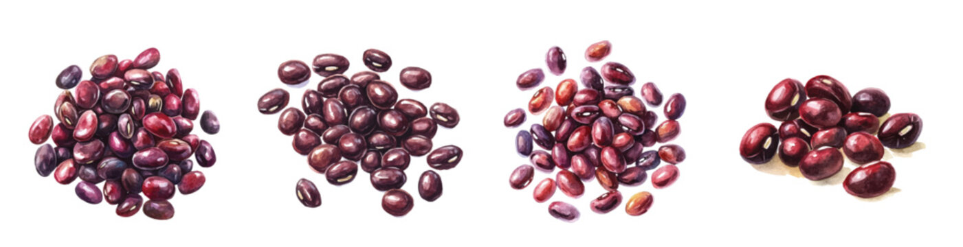 Set of adzuki beans painting, Minimal yet artistic elements for creative designs. hand-drawn paint, Simple Illustration, EPS format, isolated on a white background, watercolor illustration