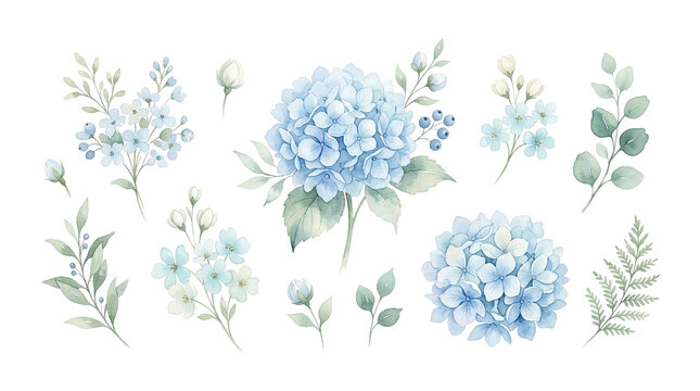Soft Blue Hydrangea Floral Elements, Watercolor Botanical Illustrations, Delicate Spring Blossom Sprigs and Leaves, Romantic Garden Collection for Design