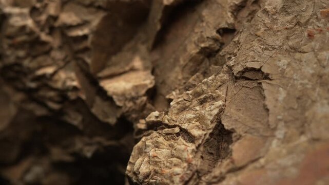 Close-up eroded rock edge with layered cracked earthy texture