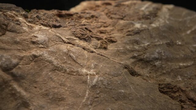 Close-up flat rock surface with rough texture and earthy tones