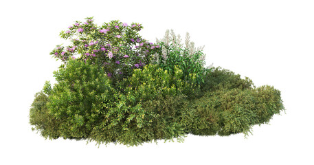 Isolated wildflower patch, lush summer meadow blooms, tall grass plants, scenic herbal groundcover © Design Zone