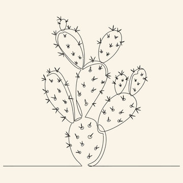 Minimalist cactus line art on beige backdrop