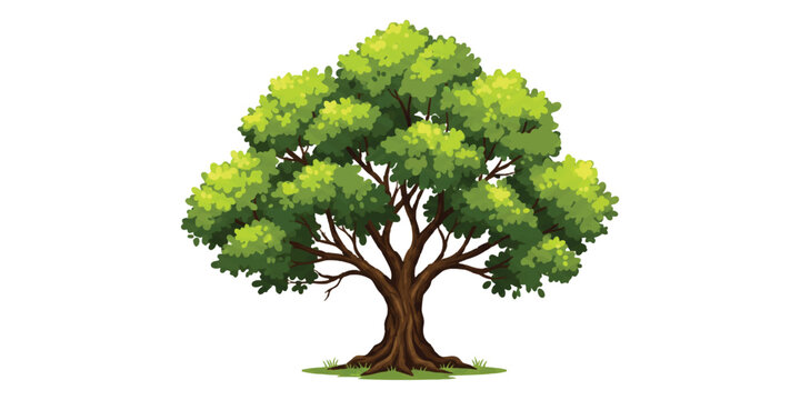 A single big green leafy tree with a thick brown trunk