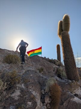 Woman Hiking Towards the Bolivian Flag Among Giant Cacti on Incahuasi Island, Salar de Uyuni. Adventure Travel and National Pride Concept in the Andean Altiplano.