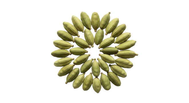 Minimal black silhouette icon, simple flat vector, bold black shape, no, no shading green cardamom pods arranged in a circular pattern on a, flat icon style