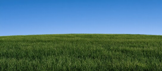 Fototapeta premium Rolling green hills meet a clear, bright blue sky