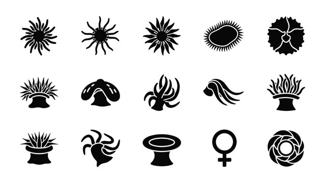 Monochromatic icons of diverse sea anemones and biological symbols.