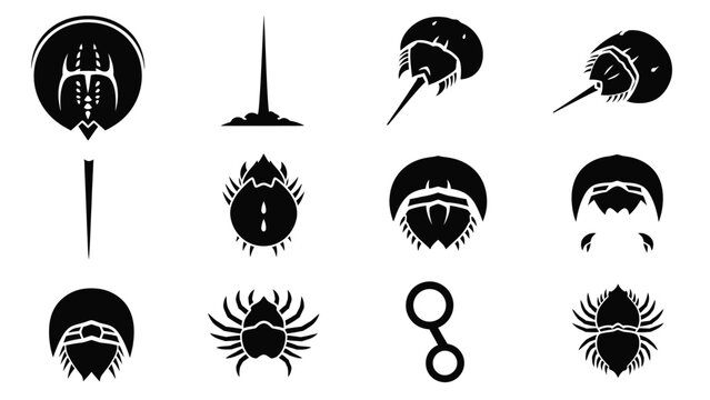 Collection of horseshoe crab and abstract symbolic elements.