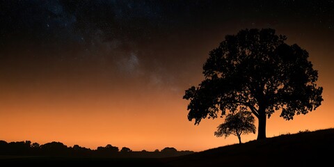 Fototapeta premium Silhouettes of two trees on a grassy hill against a starry, orange night sky