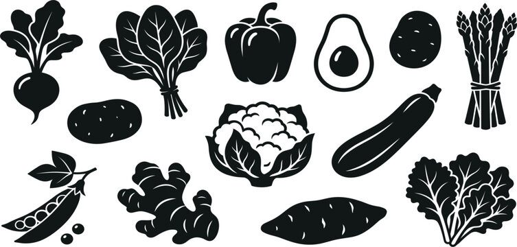 Organic Fresh Vegetable Icon Collection Featuring Beetroot, Lettuce, Bell Pepper, Avocado, Potato, Asparagus, Cauliflower, Zucchini, Peas, Ginger, Sweet Potato, and Leafy Greens