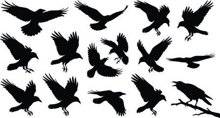 Obraz premium Black silhouettes of crows, ravens, or similar large birds in various flying and perched positions