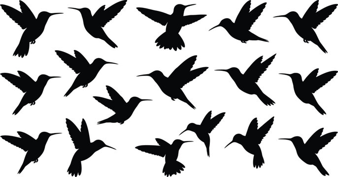 Black silhouettes of hummingbirds in flight, various angles white background