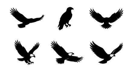Fototapeta premium Eagle Silhouettes, Bird Icons, Wildlife Vector Graphics, Majestic Flight Poses