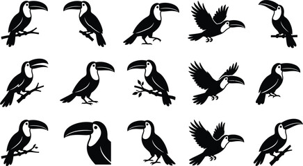 Obraz premium Black silhouettes of toucans in various poses on white background, 27 bird