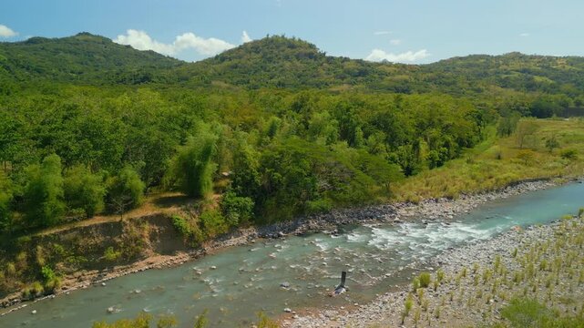 Tamaraw Gene Pool Farm_Mindoro_Philippines