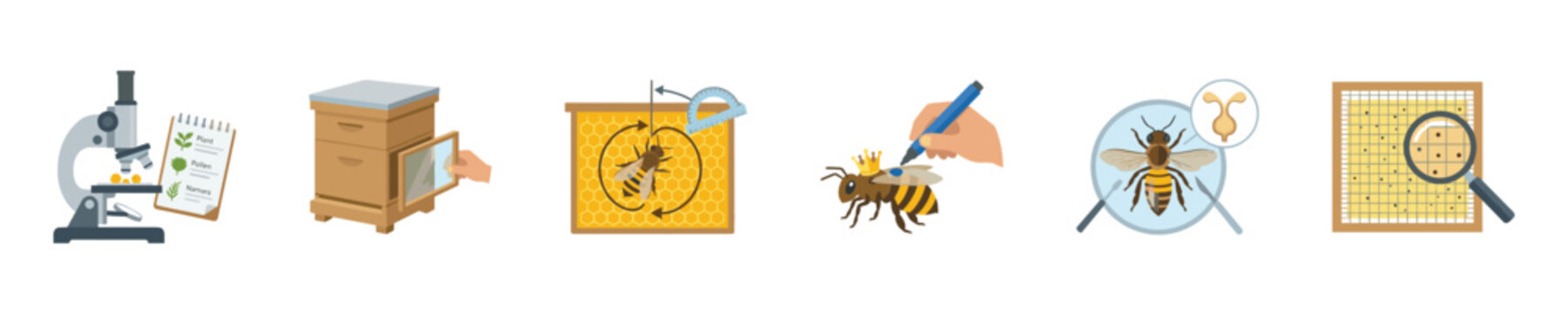 Beekeeping science and research icons showing apiary management and study methods