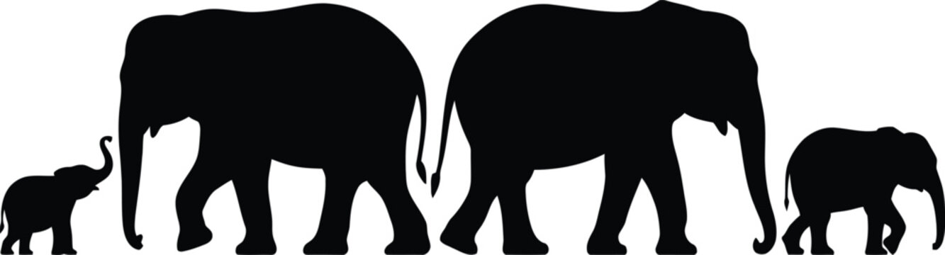 Silhouettes of Two Adult Elephants and Two Baby Elephants