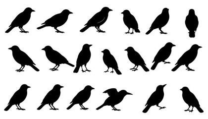 Obraz premium Black Bird Silhouettes Perched on Branch Against White Background