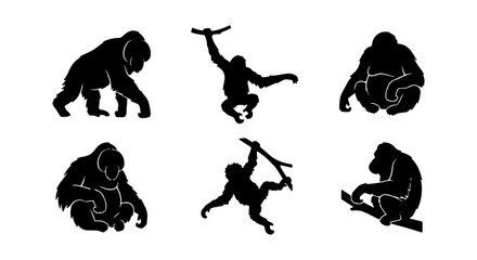 Gorilla Silhouettes: Primate Poses, Jungle Wildlife, Vector Art Set © Tanzila