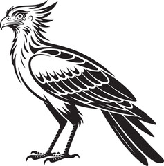 Fototapeta premium Illustration of a bird with a crest standing Vector