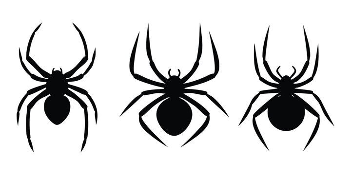 Set of black spider vector silhouettes, Creepy insect icons, Halloween, Horror design