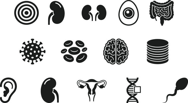 Human anatomy and biology silhouettes, organ and cell concept, medical and scientific design, health and physiology theme, black and white flat vector illustration