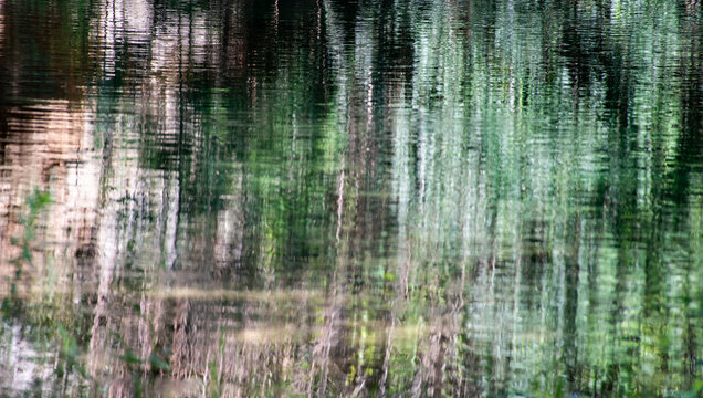 Reflejo de &aacute;rboles y vegetaci&oacute;n sobre la superficie del agua; las ondas suaves distorsionan las formas verticales de los troncos y el verde del follaje.