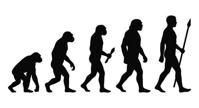 Evolution of man silhouettes depicting human development stages silhouette