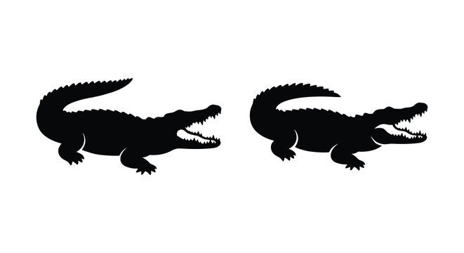 Two alligator silhouettes in dynamic poses against a white background silhouette
