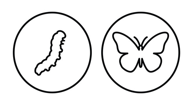 Caterpillar and butterfly icons in circular frames black line silhouette