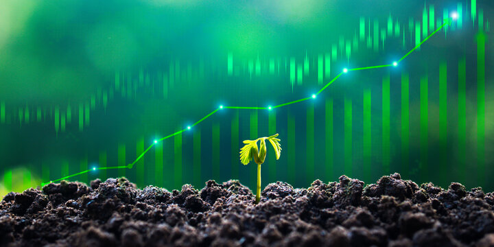 Sustainable green business growth and green investment concepts, with updated financial charts and seedlings growing against a sunny background. Growth of money, finance, and investment.