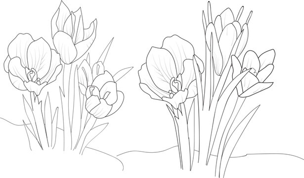 bouquet of flowers