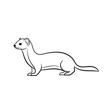 Weasel standing side view clean line art illustration isolated on white background