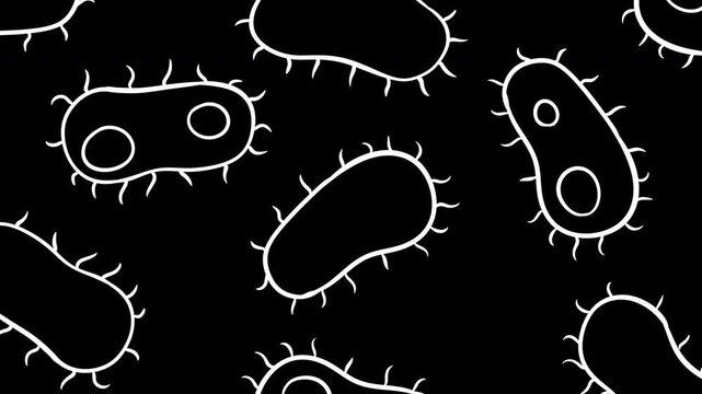 Detailed 2D animation featuring colony of several elongated, hairy ciliate bacteria with internal structures like vacuoles and nuclei, moving against clean black background.