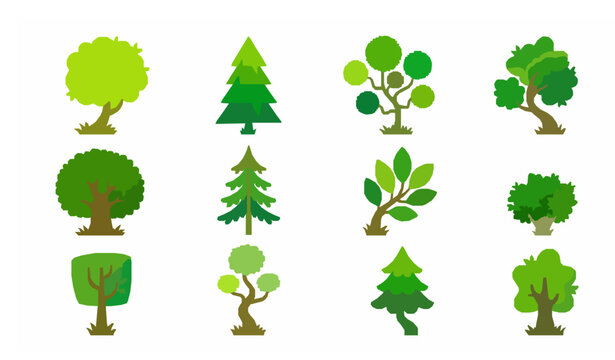 Modern cartoon tree collection with flat forest plants and cute green nature elements vector illustration