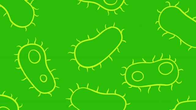 2D animation of bright green ciliate bacteria with thin hair like flagella on vibrant green background, depicting microscopic biological life and movement.