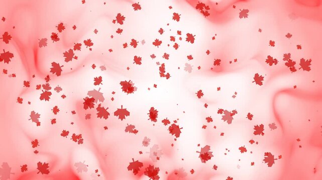 abstract moving particle background animation with maple leaf decoration suitable for canada day celebrations