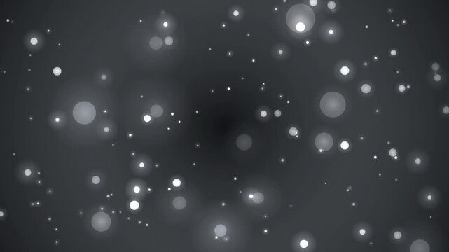 シルバーダスト光粒子 上品なモノクロ玉ボケパーティクル4K