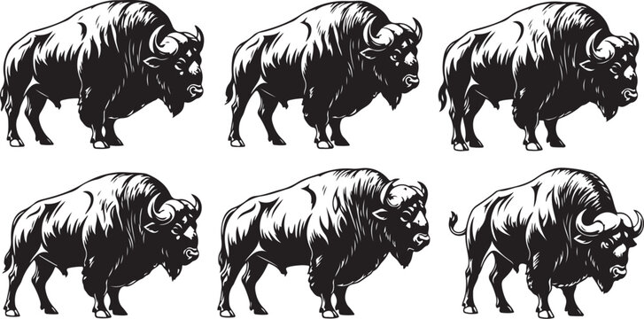 Black and white bison illustrations in various poses